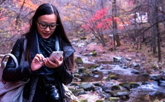 麻婆豆腐传媒一区二区三区